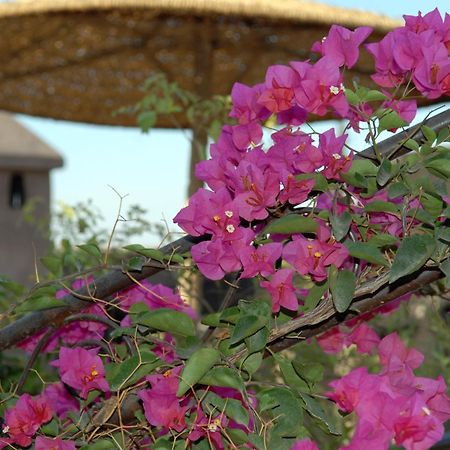 Riad Mehdia Маракеш Екстериор снимка