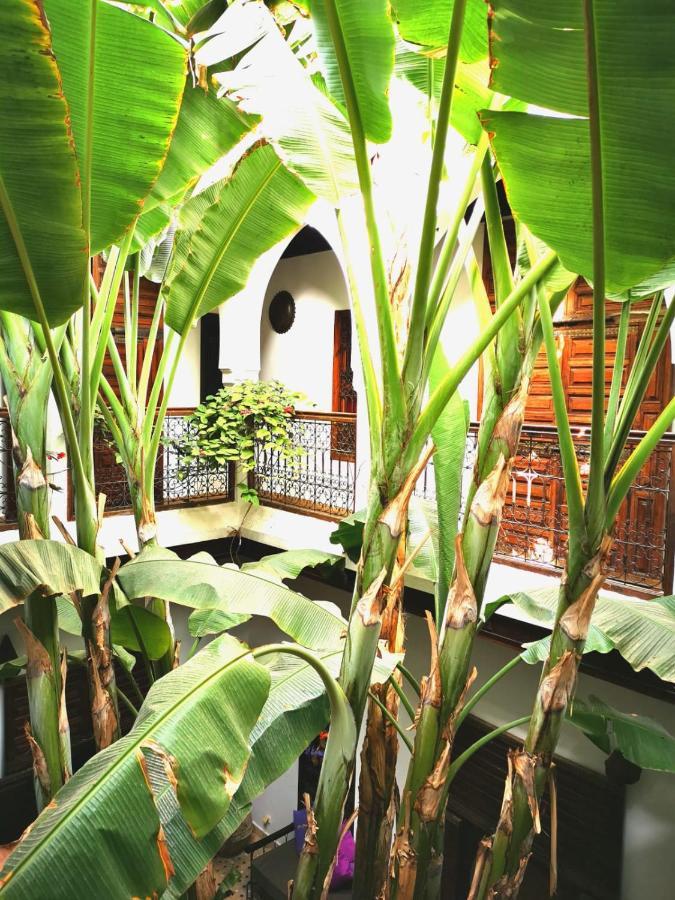 Riad Mehdia Маракеш Екстериор снимка